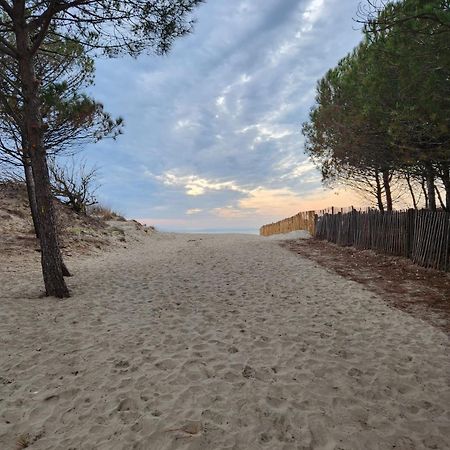 Le Peche Mignon - Appart 1 - Locationlatamarissiere Agde Kültér fotó